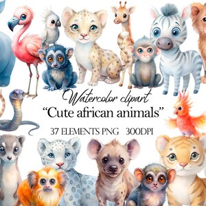Safari animals watercolor clipart, jungle animals clip art, , baby shower, cute animals png, neutral nursery wall decor, nursery wall art