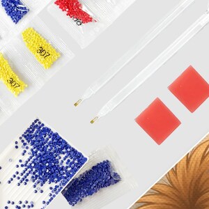 May include: Diamond painting kit with various colored rhinestones, including blue, yellow, and red. The kit includes clear plastic applicators, red wax squares, and a white tray for organizing the gems. The number "307" is printed on the yellow packets.