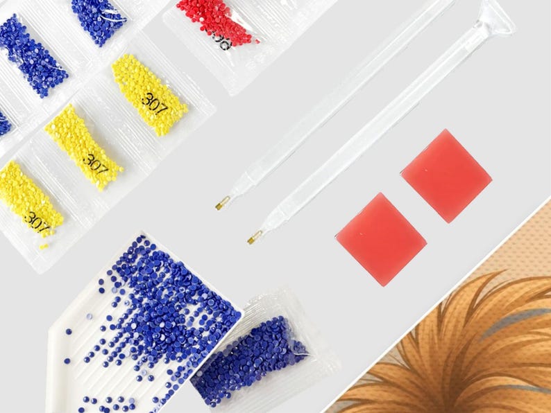 May include: Diamond painting kit with various colored rhinestones, including blue, yellow, and red. The kit includes clear plastic applicators, red wax squares, and a white tray for organizing the gems. The number "307" is printed on the yellow packets.