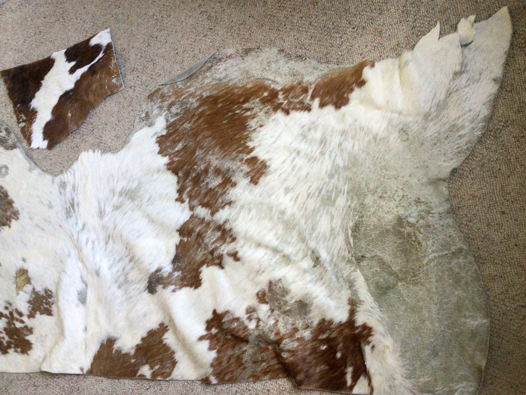 Cowhide Remnant, Hair on Cowhide Large Scrap, Genuine Cowhide for