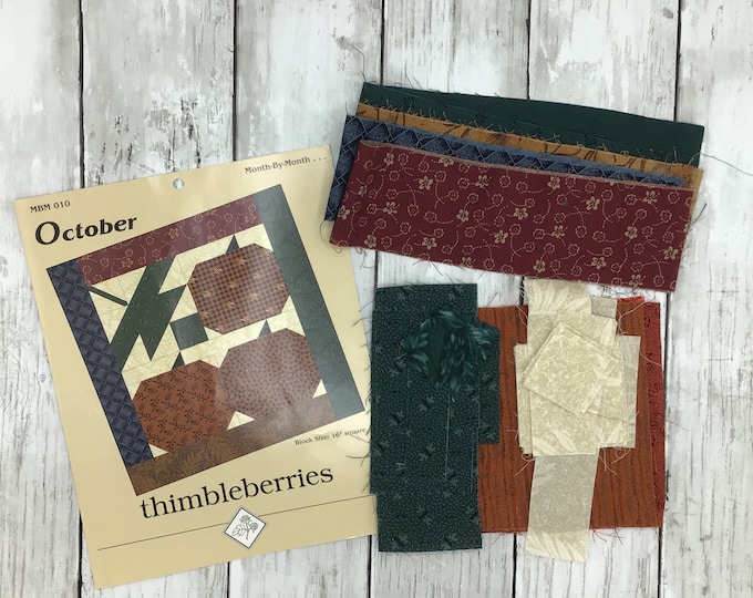 Thimbleberries Quilt Kit Thimbleberries Month by Month Etsy