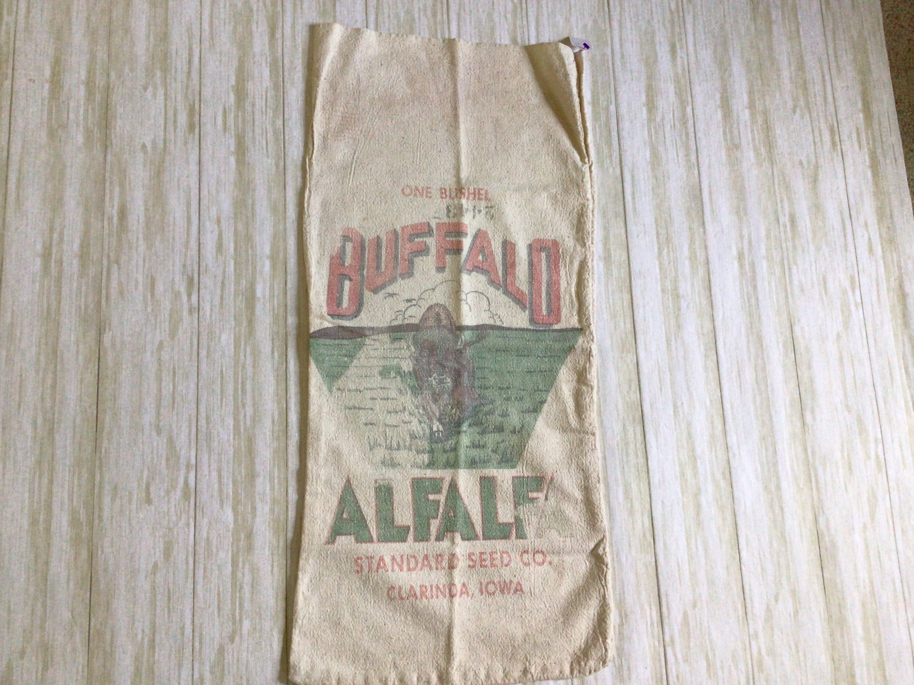 16-Oz. Bag of Alfalfa Hay – Alfalfa King