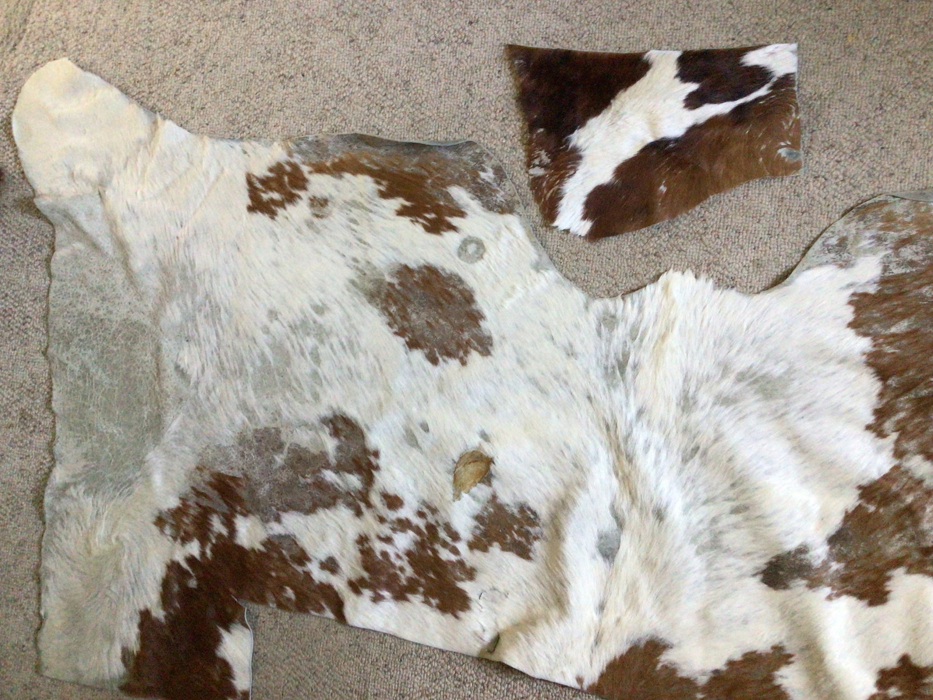 Cowhide Remnant, Hair on Cowhide Large Scrap, Genuine Cowhide for