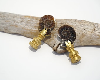 Lamp Finial - Ammonite Fossil Pair - Ready to Ship