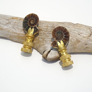 Lamp Finial - Ammonite Fossil Pair - Ready to Ship