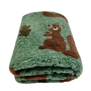 May include: A soft green fleece blanket featuring a brown squirrel design. The blanket is folded in half and has a fluffy texture.
