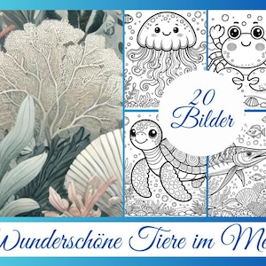 20 Black and White Sea Animals Coloring Pages – Dolphin, Whale, Turtle, Shark and More | Child-Friendly Underwater World Coloring Pages