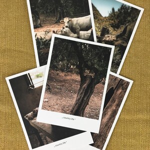 Set di 5 cartoline fotografiche – 'Vita di campagna' | Motivi paesaggistici vintage, fotografie fatte in casa