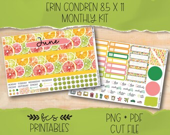 Puede incluir: Un kit de planificador con temática de cítricos. El kit incluye un calendario mensual con el mes de junio y varias pegatinas. El diseño presenta rodajas de naranjas, limas y pomelos. El texto "ERIN CONDREN 8.5 X 11 MONTHLY KIT" está en la parte superior.