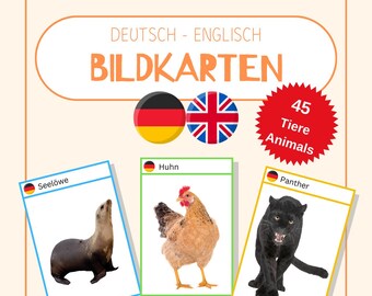 May include: Three flash cards with images of a sea lion, a chicken, and a panther. The cards are labeled in German and English with the words "Seelöwe", "Sea lion", "Huhn", "Chicken", "Panther", and "Panther".