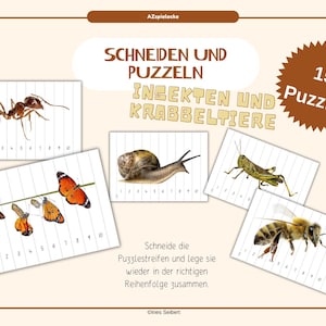 May include: A set of 15 printable puzzles featuring insects and creepy crawlies. Each puzzle is a strip of paper with a numbered grid. The puzzles include a butterfly, a snail, a grasshopper, a bee, and an ant.