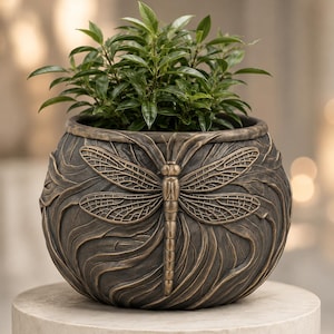 May include: A round, dark bronze-colored planter featuring a raised, detailed dragonfly relief on the front. The surface of the pot has a textured, swirling pattern. A small, leafy green plant is potted inside the container, filling the top opening.