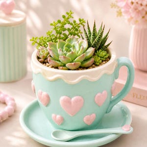 May include: A light blue teacup planter with pink heart accents, filled with succulents. The teacup sits on a matching saucer with a small spoon. A matching container is in the background.
