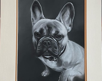 Frenchie - 11x14 Commissioned Charcoal Drawing