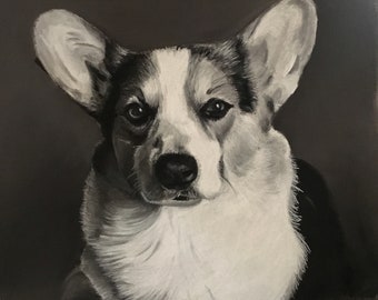 Corgi