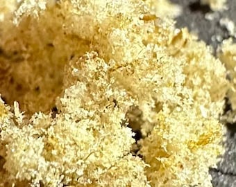 Bee Venom Powder (100 mg) Wrinkle Reducer Inflammation Reduction Anti-aging Apitherapy Honey Bee Apitoxin