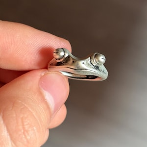 Könnte beinhalten: Ein silberfarbener Metallring in Form eines Froschkopfes. Der Ring hat zwei hervorstehende, abgerundete Augen auf der Oberseite und ein glattes, geschwungenes Band, das das Gesicht des Frosches bildet. Das Metall hat ein dunkles, oxidiertes Finish.