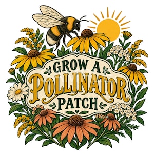Op de afbeelding: Een grafische illustratie met een hommel die boven gele en oranje zonnehoeden en witte wilde bloemen zweeft. Een heldere gele zon schijnt erboven. De tekst "GROW A POLLINATOR PATCH" staat centraal in een crèmekleurig kader.