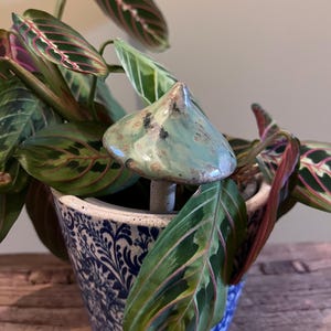 Handmade ceramic mushroom | Green / Blue