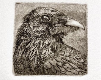 Raven Etching by Artist - Lora Shelley