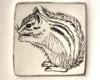 Chipmunk  -  Etching by Artist - Lora Shelley