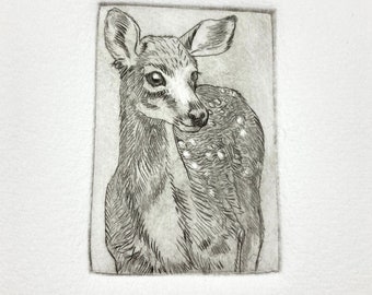 Oh Deer, Etching by Artist - Lora Shelley