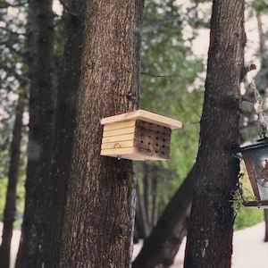 Puede incluir: Una casa de abejas de madera está montada en un tronco de árbol en un entorno forestal. La casa de abejas es rectangular con múltiples agujeros para que las abejas entren y salgan. El color natural de la madera se mezcla con la corteza del árbol.