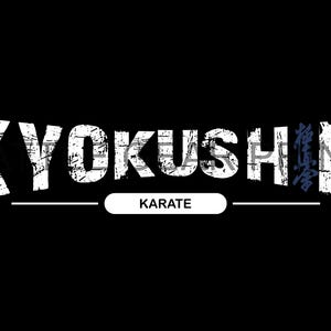 2 Files of Karate Kyokushin Japanese Digital Products Prints