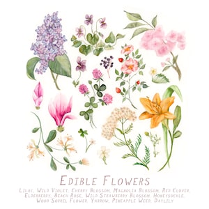Edible Flowers Print