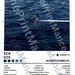 SZA Poster Print | Digital | Wall Decor - Etsy