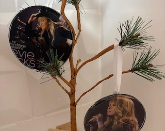 Adornos de resina hechos a mano de Stevie Nicks de la portada del álbum