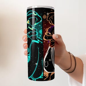 Disney Aladdin Movie Themed Stainless Steel Tumbler, Princess Jasmine & Aladdin Insulated Tumbler Gift, Disneyland Trip Steel Water Bottle
