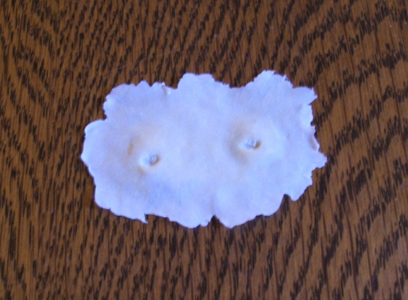 Vampire Bite Prosthetic