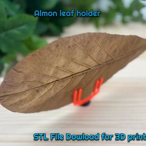 3D Printable Leaf Holder STL: Natural Shrimp Shelter Aquarium Decor