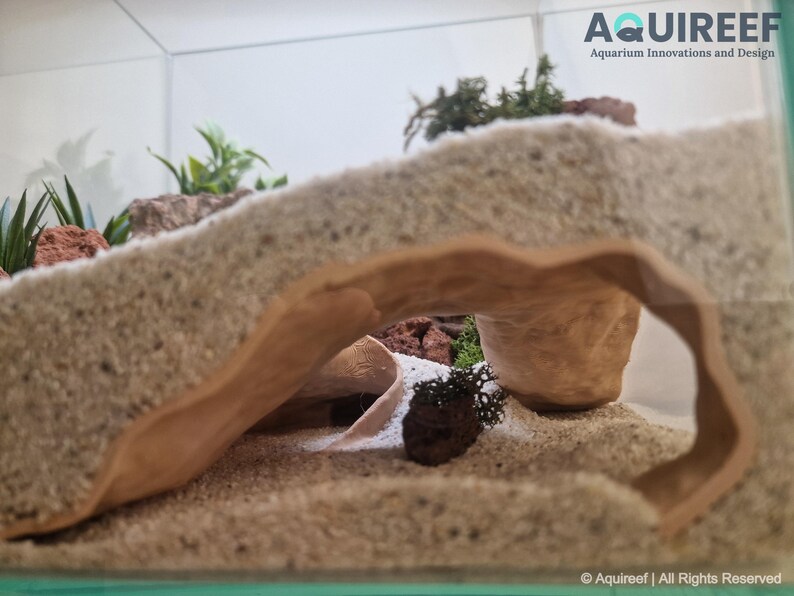 Interior view of the Riptide Aquarium Cave STL file in a natural aquarium setting, showcasing its smooth texture, sandy design, and ample space for fish or shrimp. Ideal for 3D printing enthusiasts.