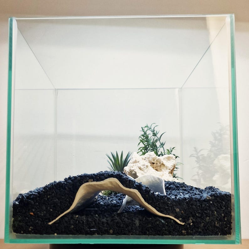 Op de afbeelding: Een vierkant glazen aquarium met een basislaag van kleine zwarte steentjes. Een gebogen, lichtgekleurde keramische brugstructuur ligt bovenop het grind, vergezeld door een poreuze witte steen en kleine groene kunstplanten aan de achterkant.
