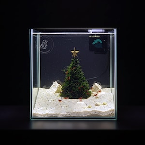 以下が含まれることがあります： 緑色の苔で作られたクリスマスツリーと金色の星が飾られた小さな水槽。水槽の底は砂地で、白い岩と小さな赤いエビがいます。「STL FILE DOWNLOAD」の文字が側面に表示されています。