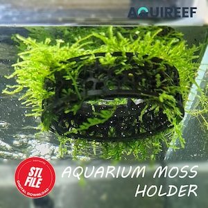 Anel flutuante para musgo em aquário, suporte para crescimento de plantas de aquário, flutuador para plantas em aquários de peixes e camarões | Arquivo STL para impressão 3D