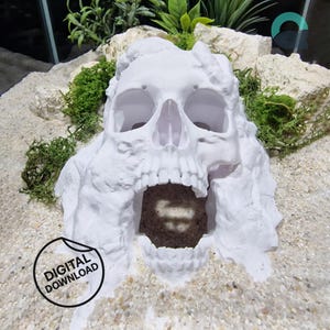 Terrarium & Aquarium Skull Hide – Pirate Cave for Fish, Reptiles, Shrimp, Spiders and Insects, Underwater Cave Decor | 3D Printable STL FIle