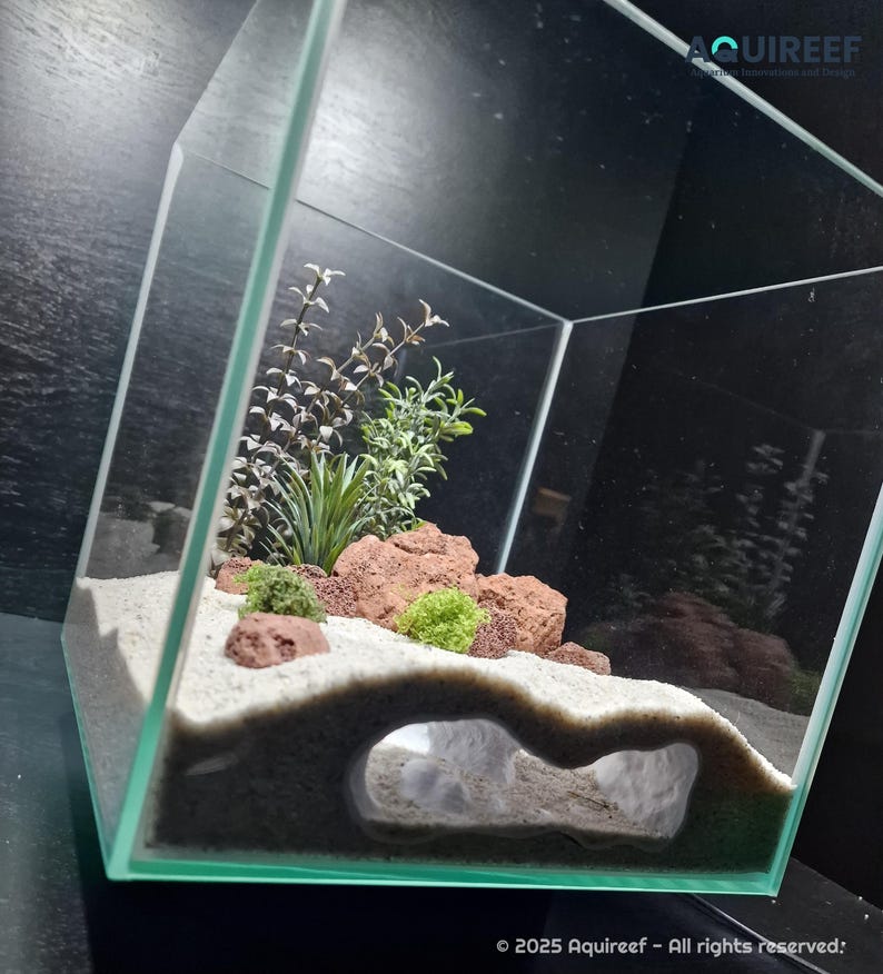 25 Minimalist Decor Ideas to Try At Home - The Spruce