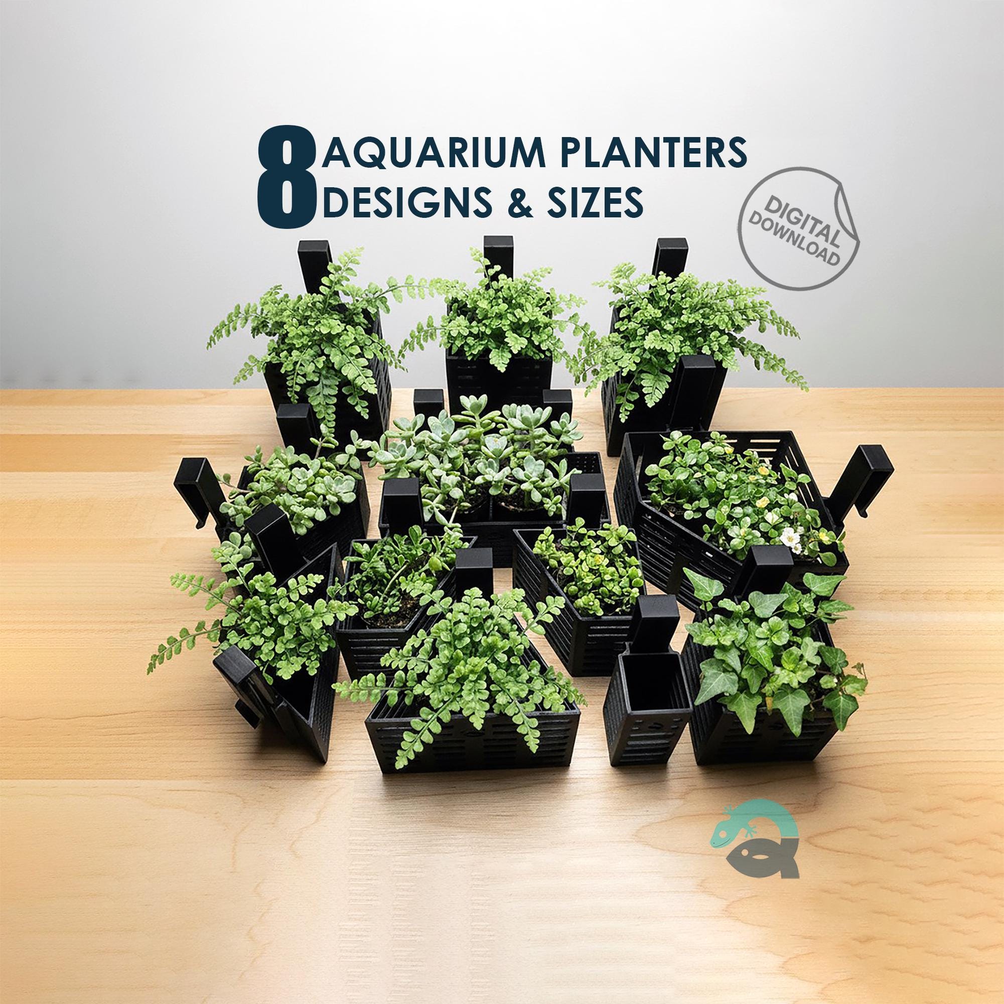 4 Supporti Per Piante Da Acquario Con Ganci E Ventose – Vaso Sospeso In ABS Per Piante Acquatiche E Semi-Acquatiche, Decorazione Per Acquario