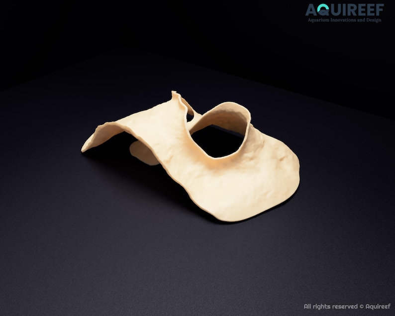 Op de afbeelding: Een beige, onregelmatig gevormd, gebogen aquariumaccessoire met een glad, mat oppervlak en een centrale ronde opening. Het object heeft organische, vloeiende randen en een holle, sculpturale vorm voor in het aquarium.