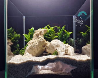 Aquarium & Reptile Natural Cave, Fish Shrimp Hollow Hideout, Terrarium Decor Shelter, Aquascape Organic Rocky Grotto | 3D Printable STL File