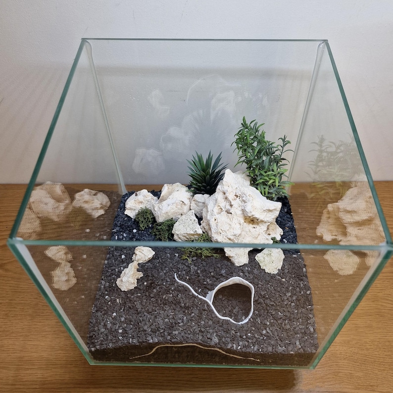 Op de afbeelding: Een vierkante glazen terrariumcontainer gevuld met donkergrijs grind, diverse poreuze witte stenen, groene kunstmatige vetplanten en een kleine witte schelp. De heldere glazen wanden vormen een kubus en tonen de inrichting.