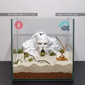 May include: A white, sculpted face with open mouth, resembling a cave entrance, is the centerpiece of a terrarium. The terrarium contains sand, small plants, and a small frog. The text "HARRY POTTER CAVE" is visible.