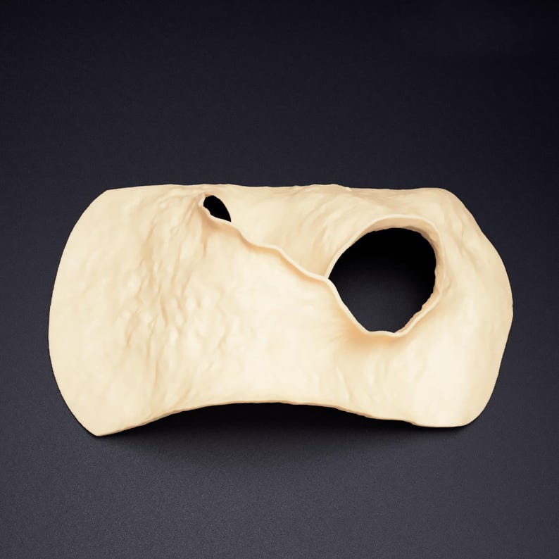 Op de afbeelding: Een beige, getextureerd siliconen protheseonderdeel met een glad, golvend oppervlak. Het object heeft twee afzonderlijke ronde openingen van verschillende grootte, met een verhoogde, gevouwen rand die de openingen in het midden verbindt.