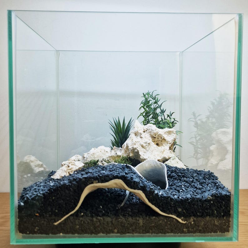 Op de afbeelding: Een vierkante glazen terrariumcontainer met een onderlaag van bruine aarde bedekt met zwart grind. Binnenin bevindt zich een gebogen witte keramische brug tussen poreuze witte rotsen, groen mos en kleine kunstmatige planten.