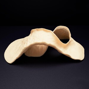 Op de afbeelding: Een cr&egrave;mekleurig, abstract sculpturaal object met een vloeiende, golvende vorm. Het oppervlak heeft een matte, getextureerde uitstraling met organische rondingen die draaien en vouwen, waardoor een open, holle structuur met onregelmatige, afgeronde randen ontstaat.