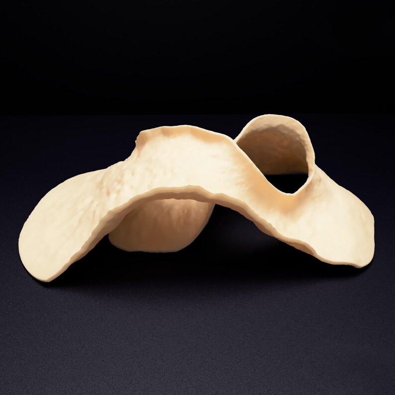 Op de afbeelding: Een cr&egrave;mekleurig, abstract sculpturaal object met een vloeiende, golvende vorm. Het oppervlak heeft een matte, getextureerde uitstraling met organische rondingen die draaien en vouwen, waardoor een open, holle structuur met onregelmatige, afgeronde randen ontstaat.