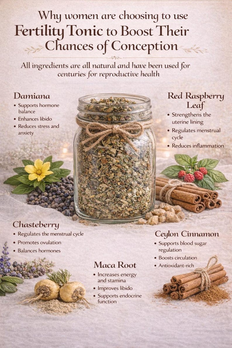 Fertility Tonic | Natural Hormone Balance Support | Herbal Fertility Blend | Women’s Wellness | Natural Fertility Support Tonic image 2